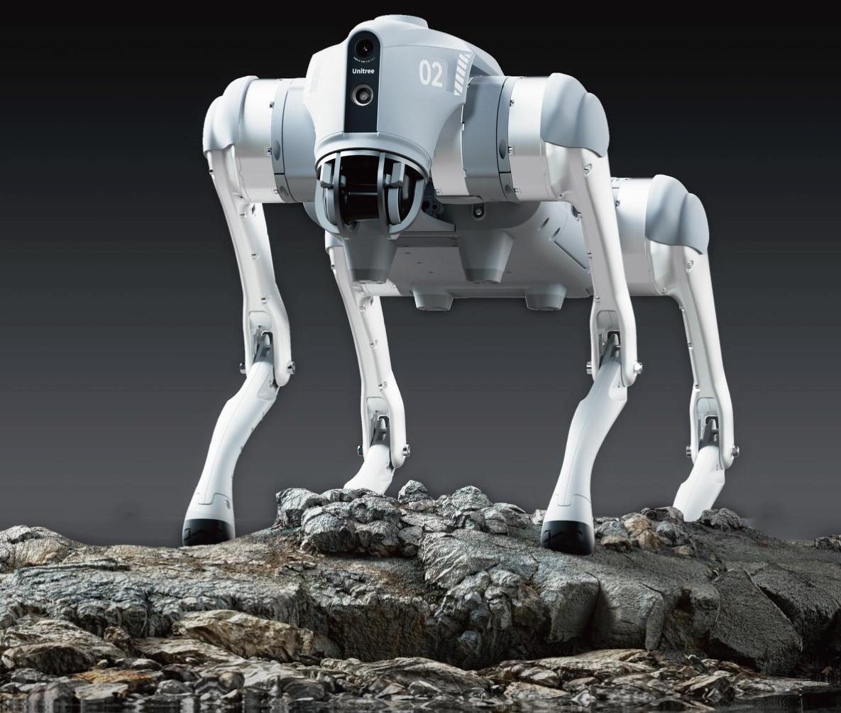 Quadruped Robot